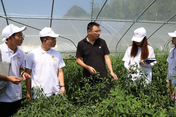 实践团参观蔬菜大棚。开云kaiyun官方网站供图