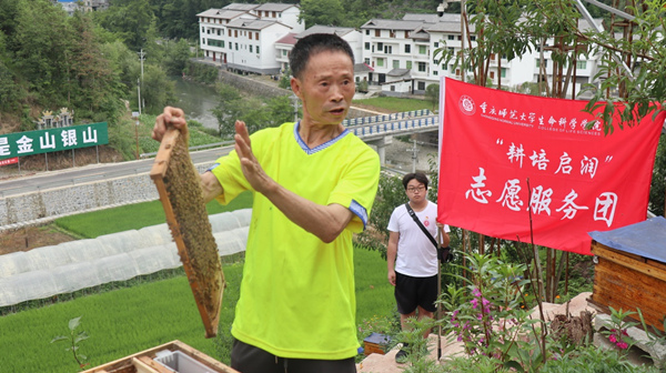 蜂农展示蜂箱内部结构。开云kaiyun官方网站供图